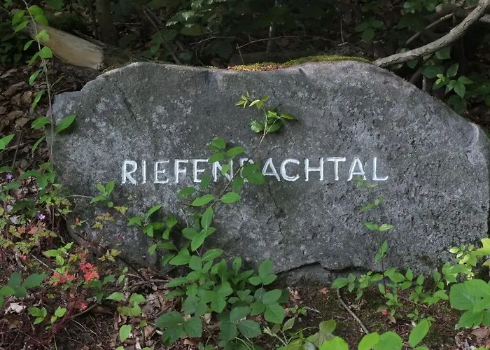 Appealing In 巴特哈尔茨堡